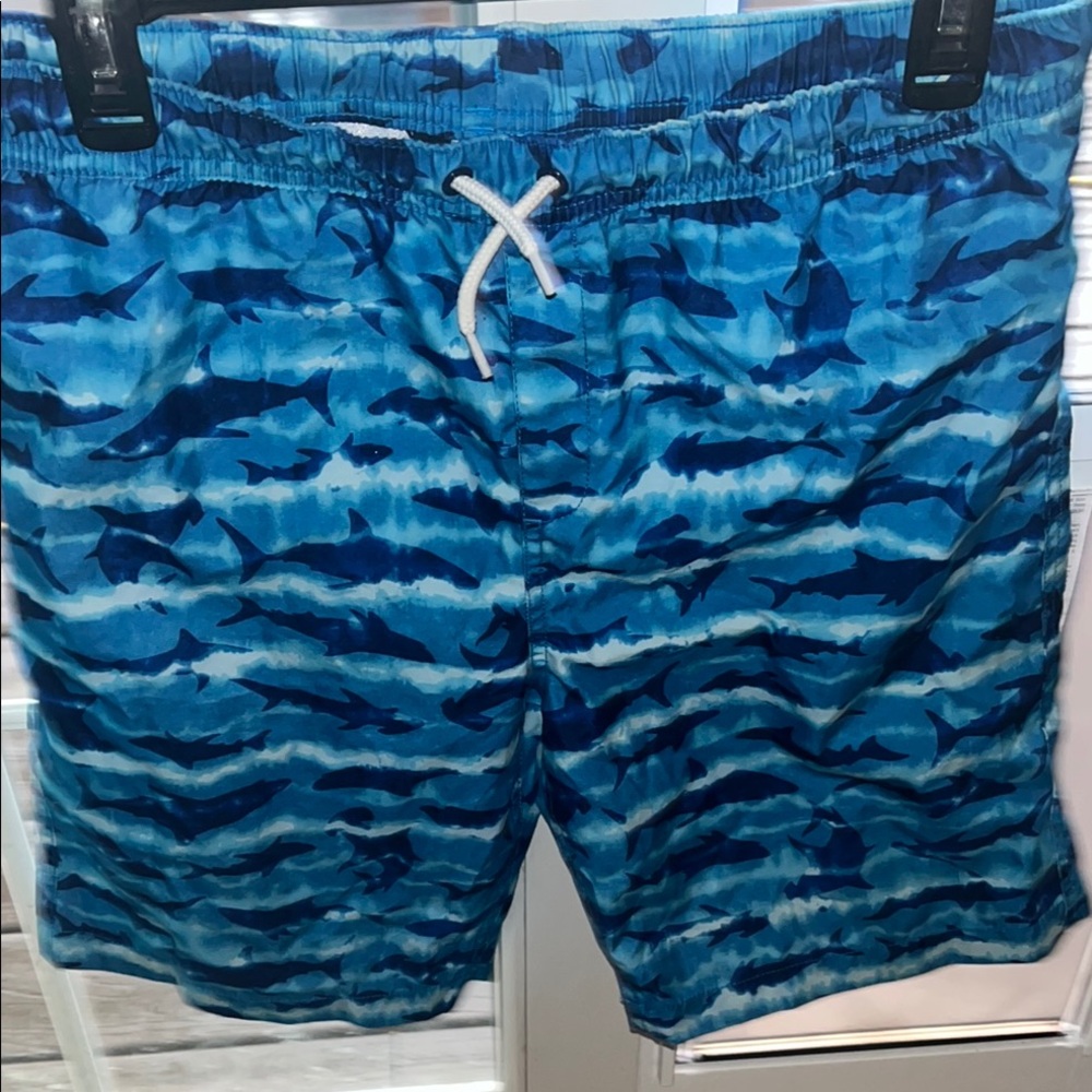 Lands' End Blue Board Shorts with Oceanic Pattern